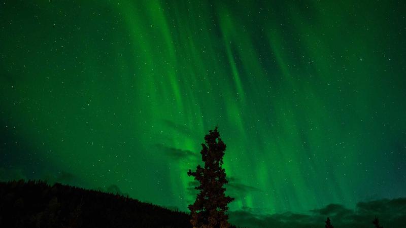 后宫露台会员专属身份标识与勋章